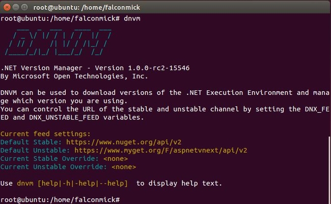 DNVM terminal command output