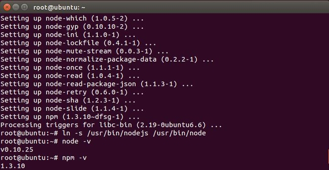 installation of node and the expected terminal output